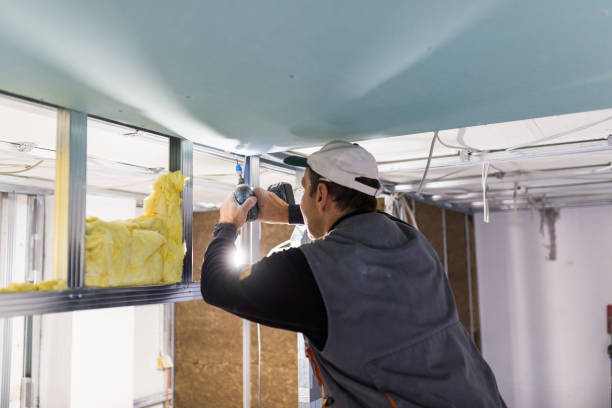 Best Cellulose Insulation in Bothell West, WA